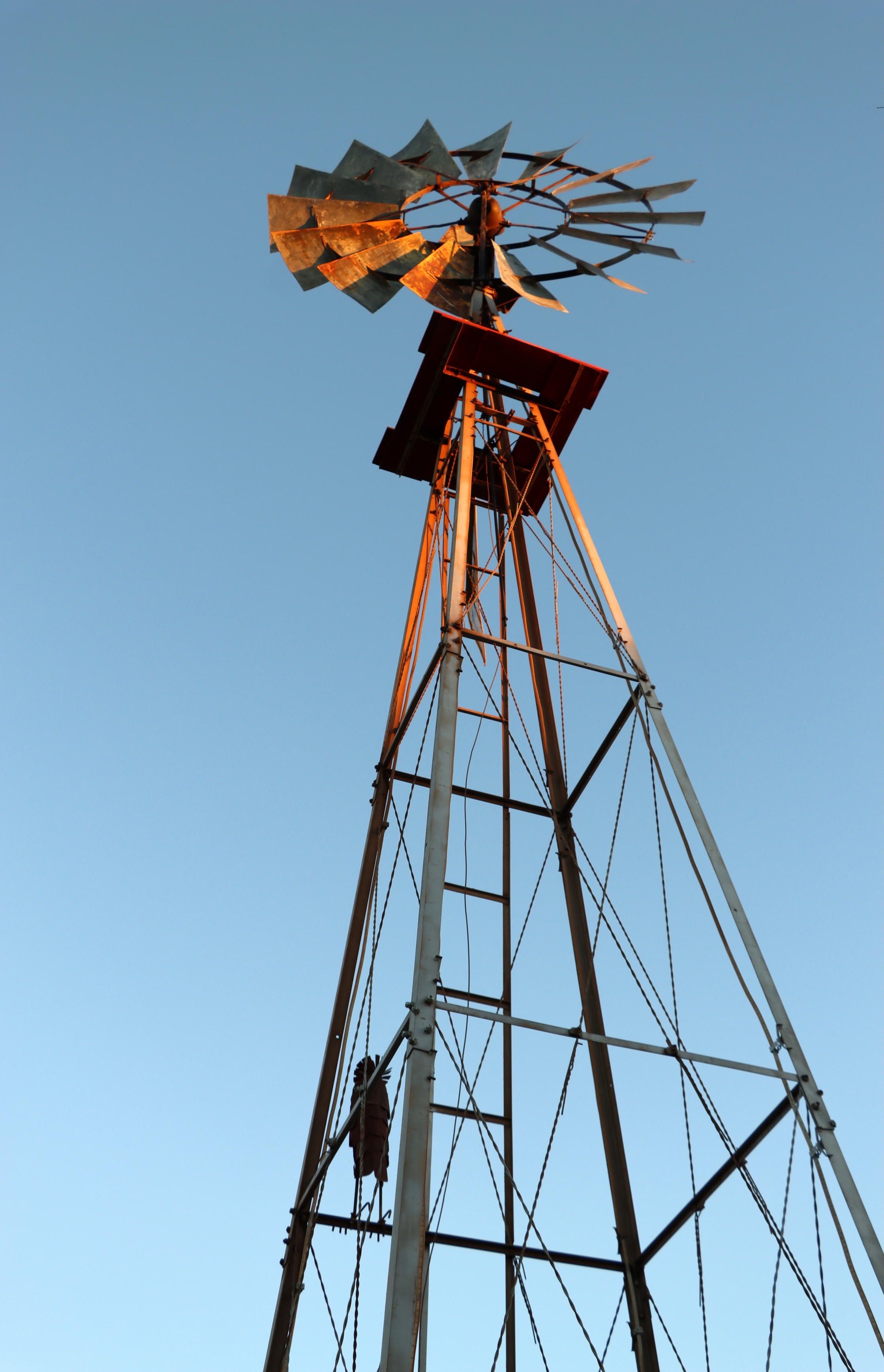 Mainly Museums - Casa Grande’s Neon Sign Park – An Outdoor Museum You ...