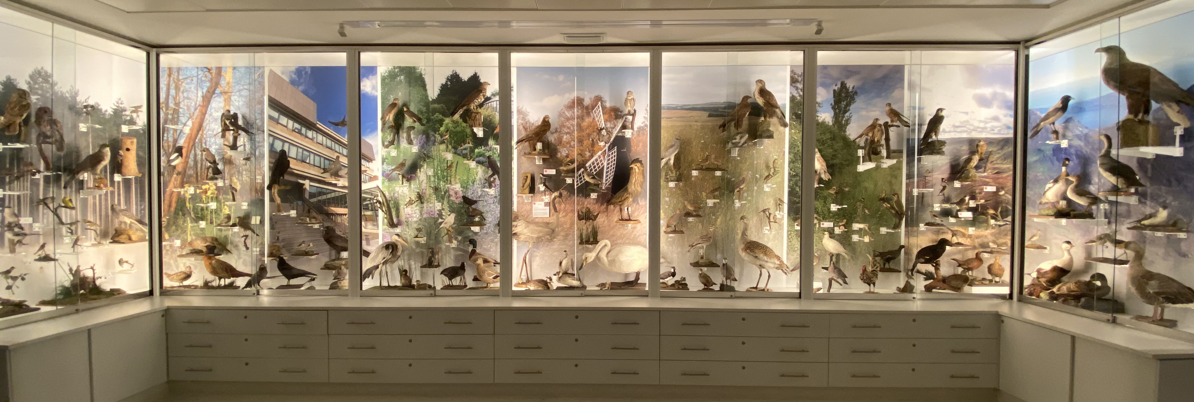 Mainly Museums - Museum of Zoology, University of Cambridge